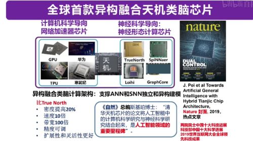 從類腦計算到機器學習 四大知名AI教授線上分享干貨，引領計算機軟硬件開發新趨勢