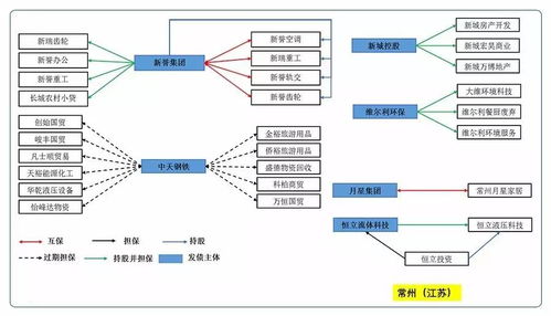 各地民企擔(dān)保網(wǎng)絡(luò)大圖譜及對(duì)比分析結(jié)果 信用策略專(zhuān)題——計(jì)算機(jī)軟硬件的開(kāi)發(fā)及應(yīng)用
